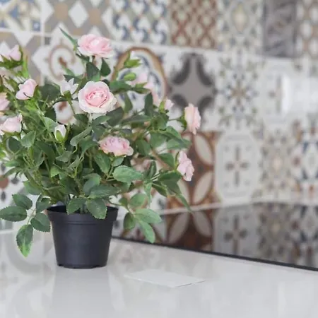 Loft Postiguet Alicante